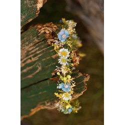 Newborn floral, flower hair wreath, crown